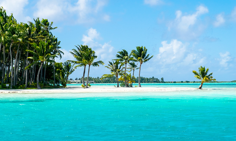 Siete excursiones desde Cancún y las mejores actividades para disfrutar del Caribe