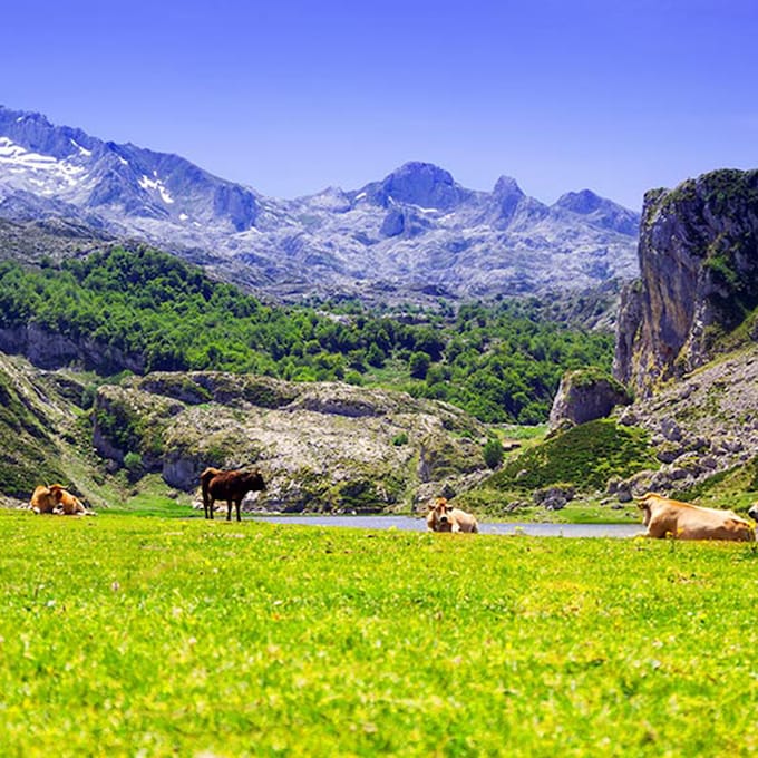 Covadonga, un destino ideal para escaparse a Asturias