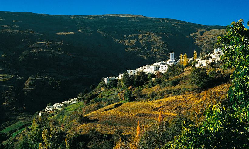 Ocho experiencias para conocer una Granada diferente