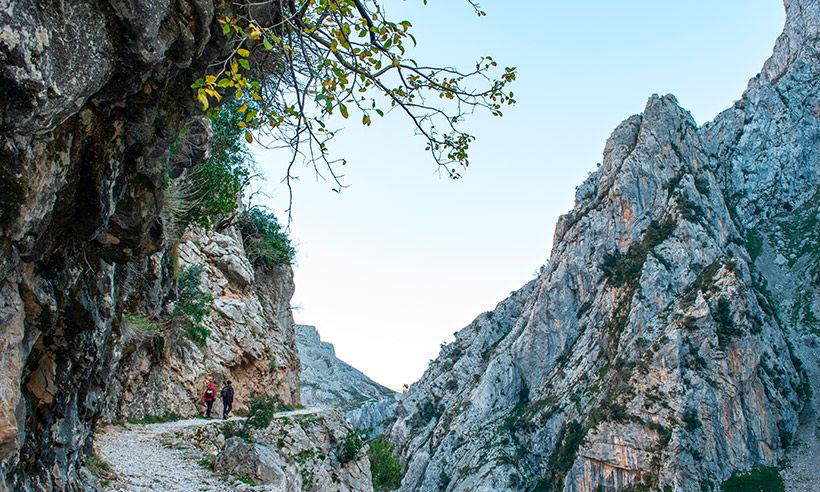 Tres valles de León rebosantes de naturaleza donde cargar las pilas este otoño