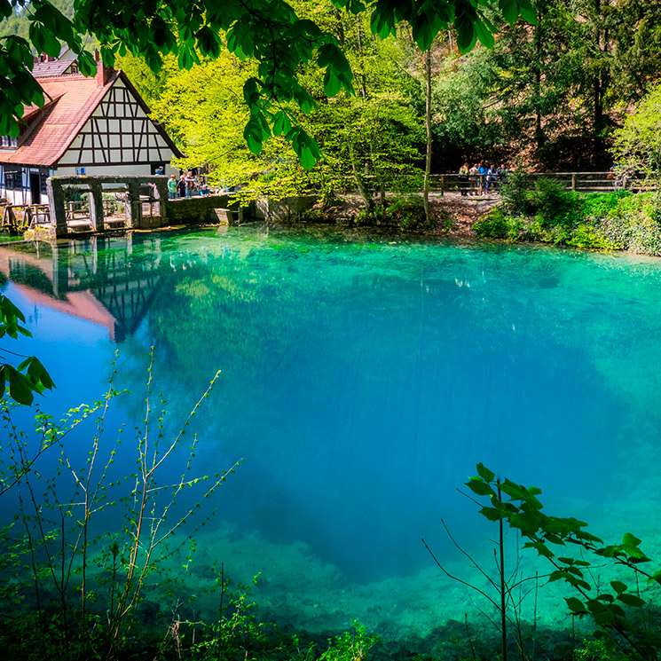 Los espacios naturales más fascinantes de Alemania 