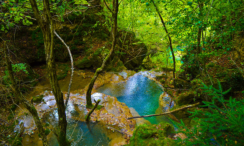 Navarra o cómo vivir la naturaleza en estado puro