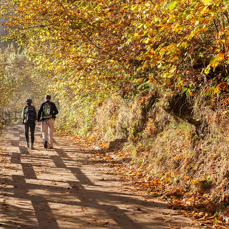 Pistas para descubrir el Parque Natural de Redes