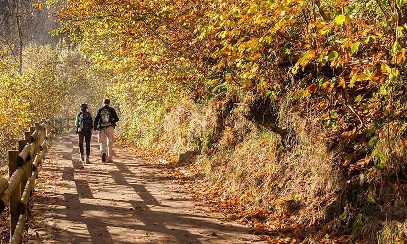 Una ruta por el Parque Natural de Redes