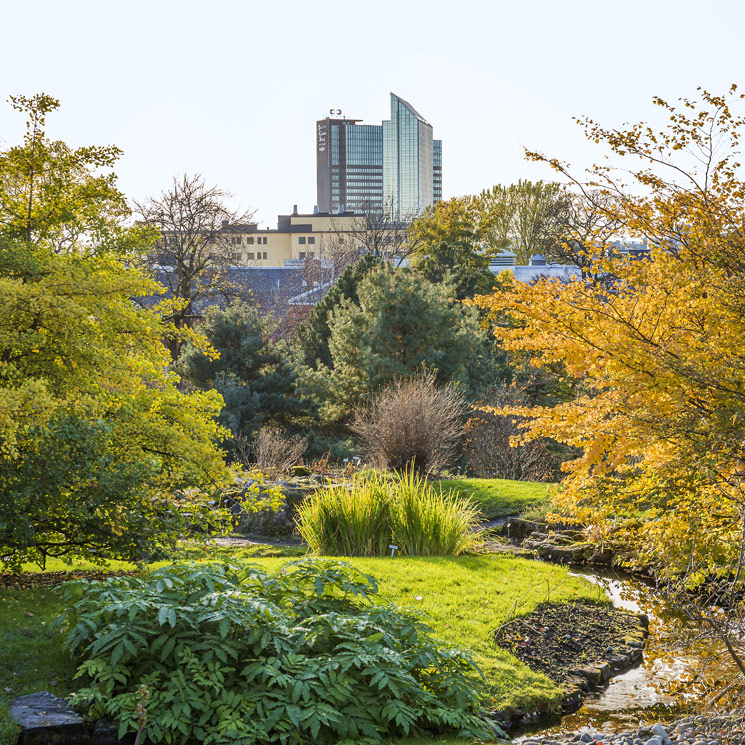 Oslo, la capital más verde de Europa