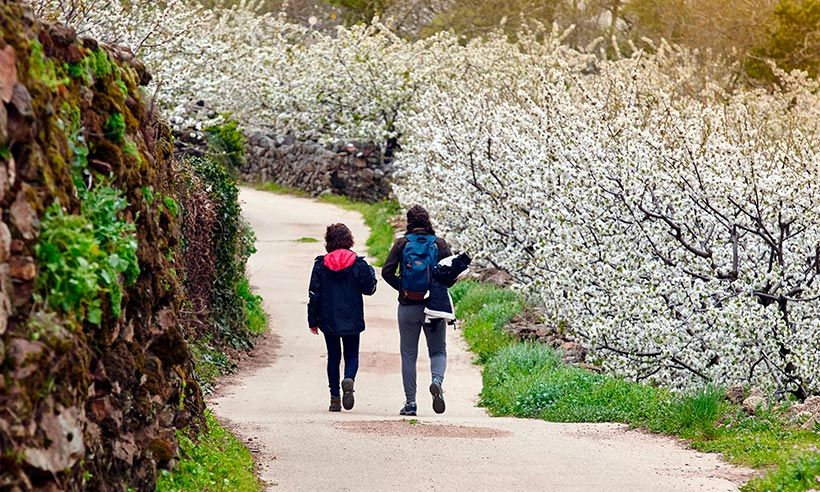 Descube el Jerte y su floración