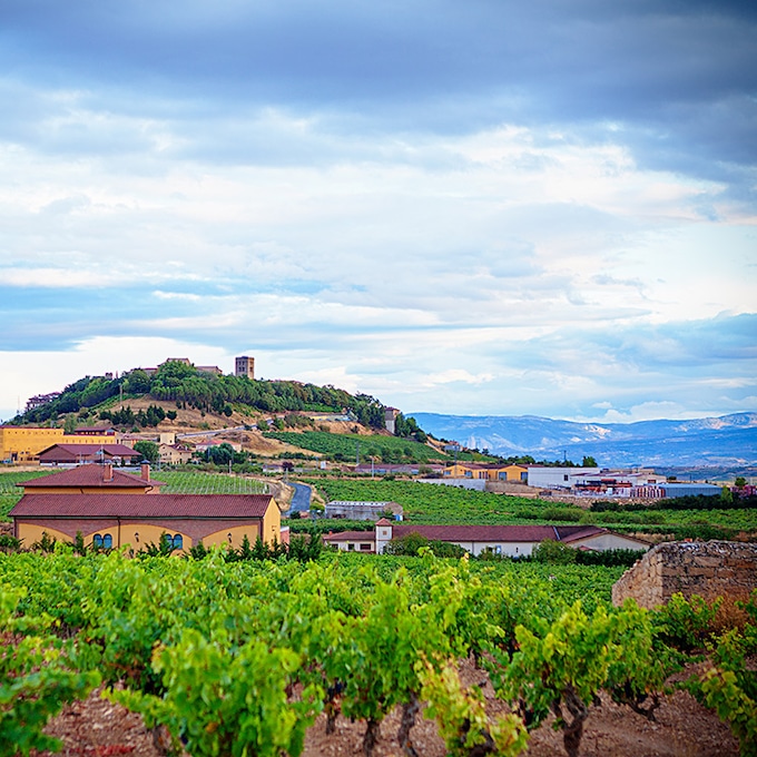 Cinco experiencias que saben a vino para exprimir la Rioja Alavesa