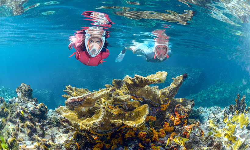 ¿Sabías que solo conocemos un 5% de todo lo que esconde el mar?