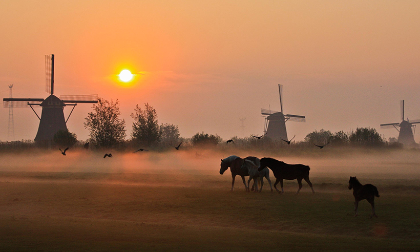 En bici hacia los molinos de Kinderdijk