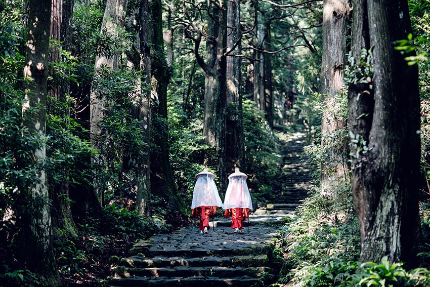 Bosque-Kumano-Kodo