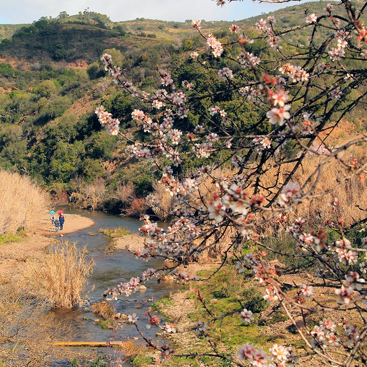 El Algarve en flor o una escapada de invierno al sur de Portugal