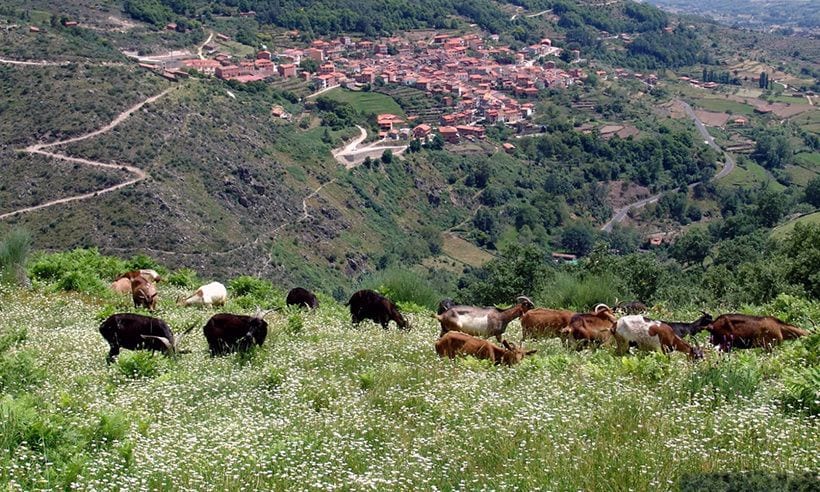 Conocer Hombres En Losar De La Vera