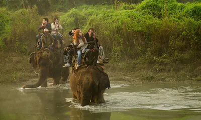 ¿Y un safari en elefante por la selva de Nepal?