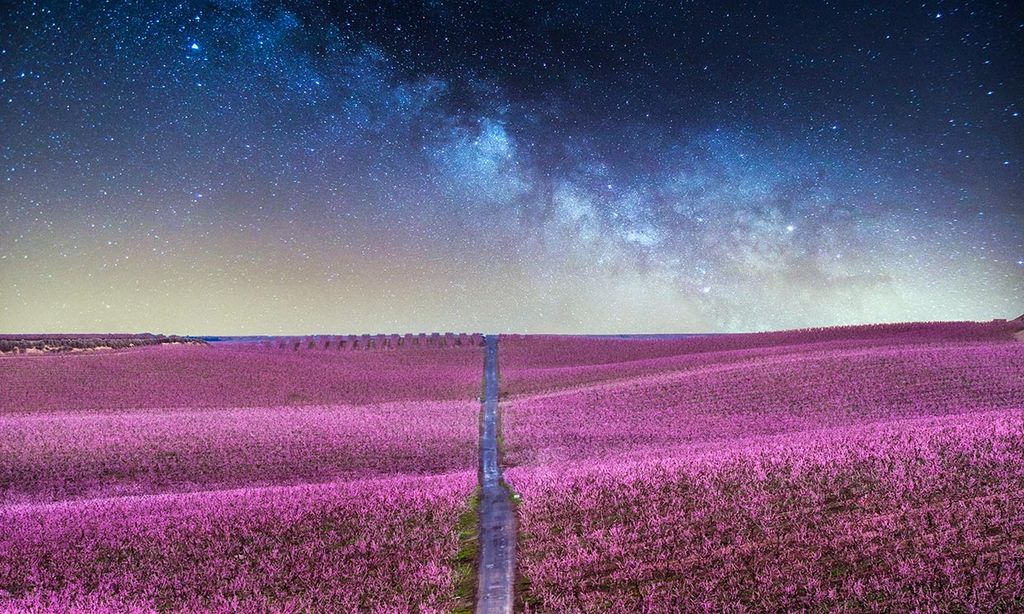 Paisajes De Primavera Con Millones De Flores Para Ver Desde La Ventana Foto 1