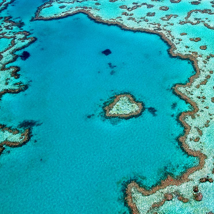 Gran Barrera de Coral, el mayor ecosistema vivo del mundo