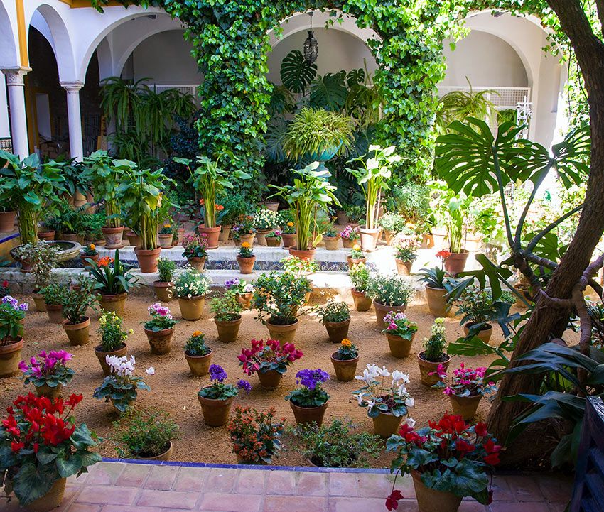 El aroma de Sevilla, una viaje