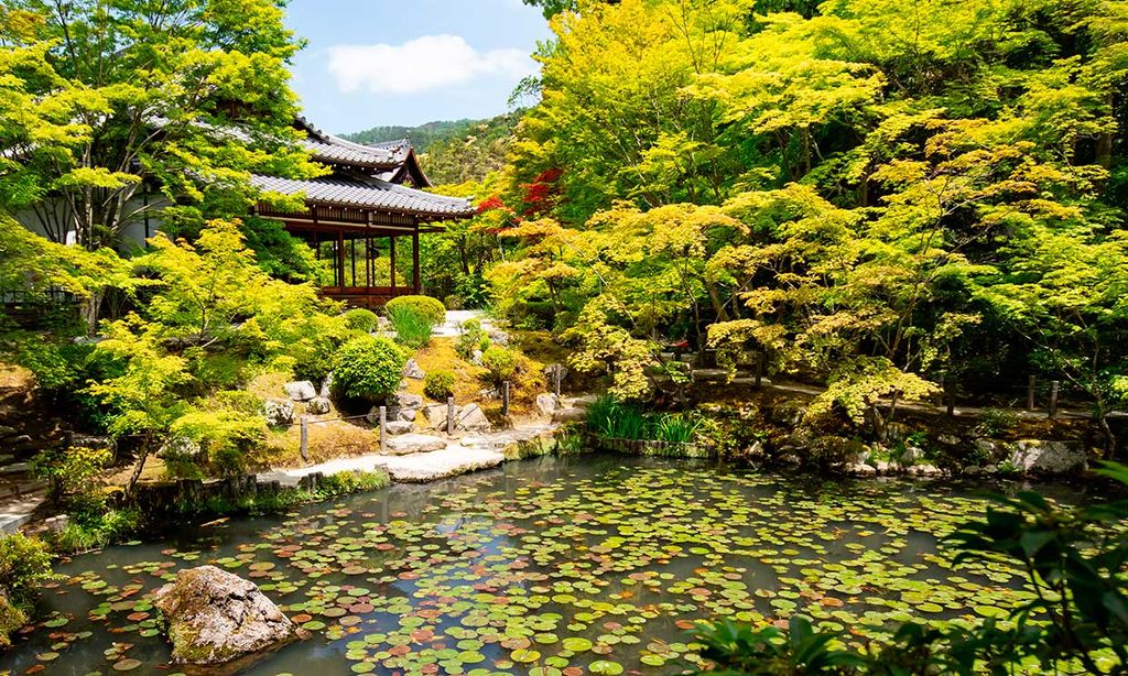 Un paseo relajado por los jardines de Kioto, el corazón verde de Japón