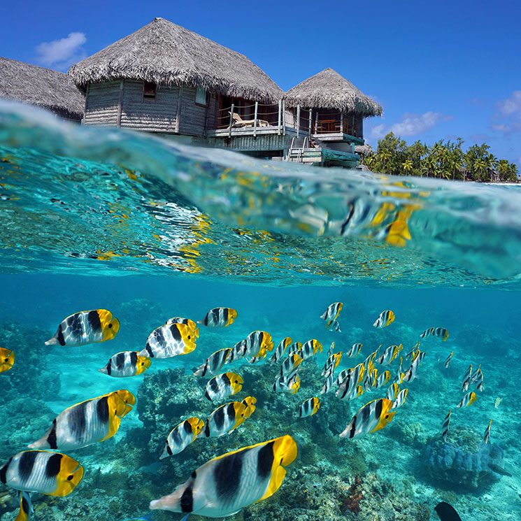 El archipiélago de las Tuamotu o el paraíso perdido de la Polinesia