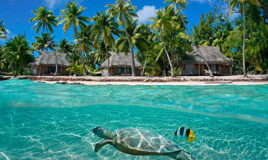 El archipiélago de las Tuamotu o el paraíso perdido de la Polinesia