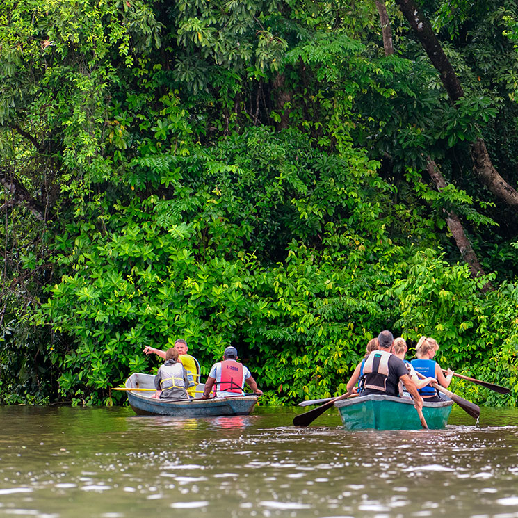 Tortuguero, el reino caribeño de las tortugas en Costa Rica