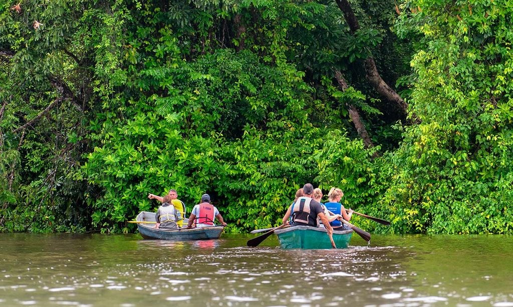 Tortuguero, el reino caribeño de las tortugas en Costa Rica