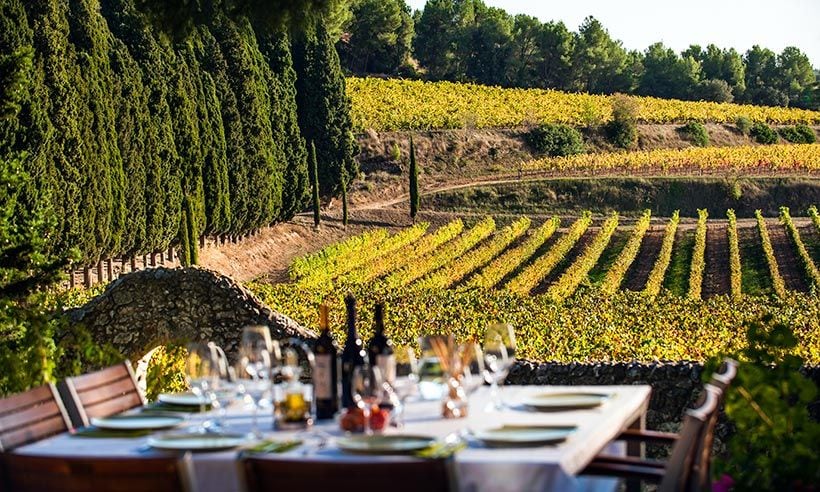 Ideas originales para disfrutar del mundo del vino cerca de Barcelona