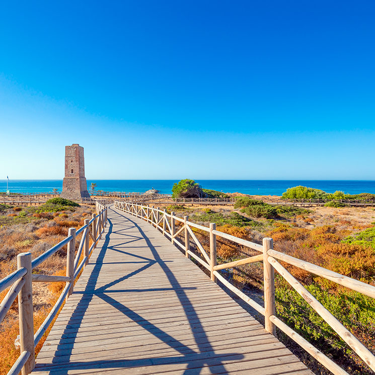 Playas de Málaga donde rematar un verano diferente al sol