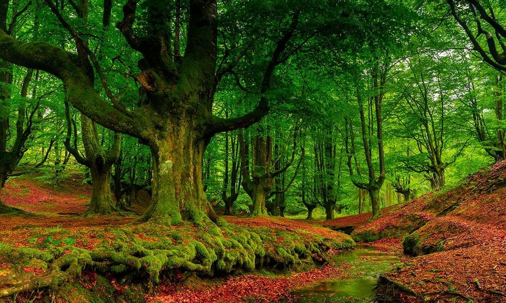 Rincones para perderte en la naturaleza, la tendencia este otoño
