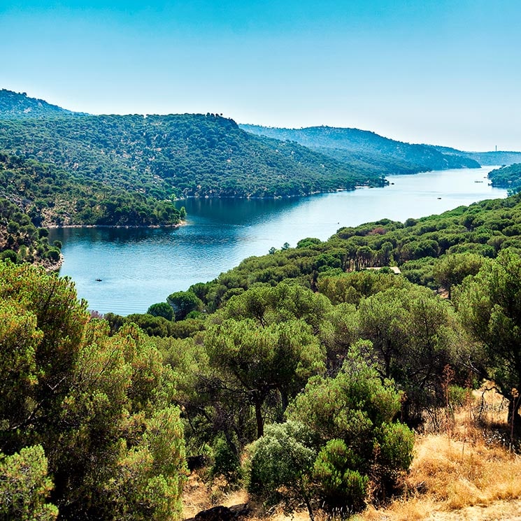 Valle de Iruelas, una sorprendente reserva natural en el sur de Ávila