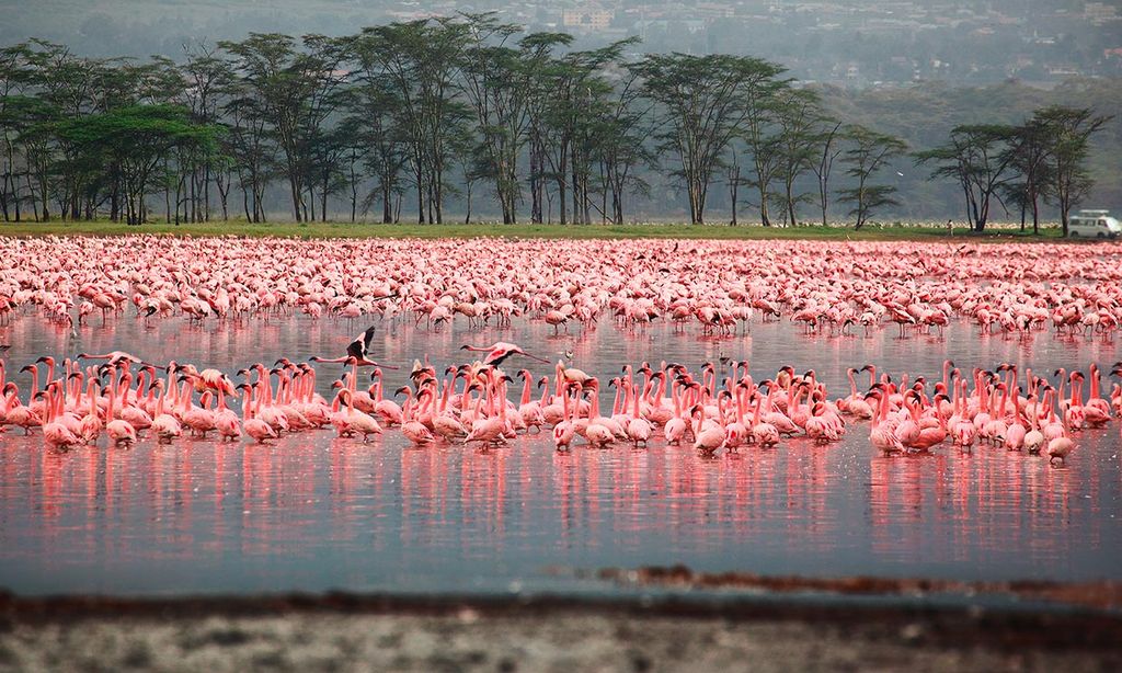 Maravillas naturales de África para, al menos, una vez en la vida