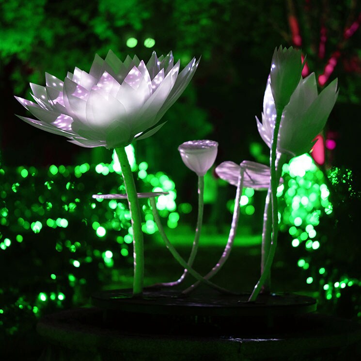 El Jardín Bótánico se enciende por Navidad con miles de luces 