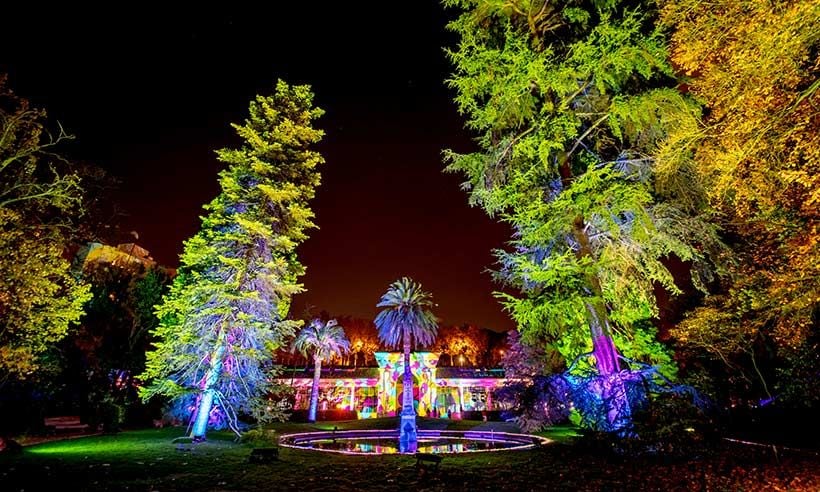 madrid-luces-navidad-jardin-botanico