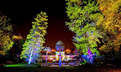 El Jardín Bótánico se enciende por Navidad con miles de luces