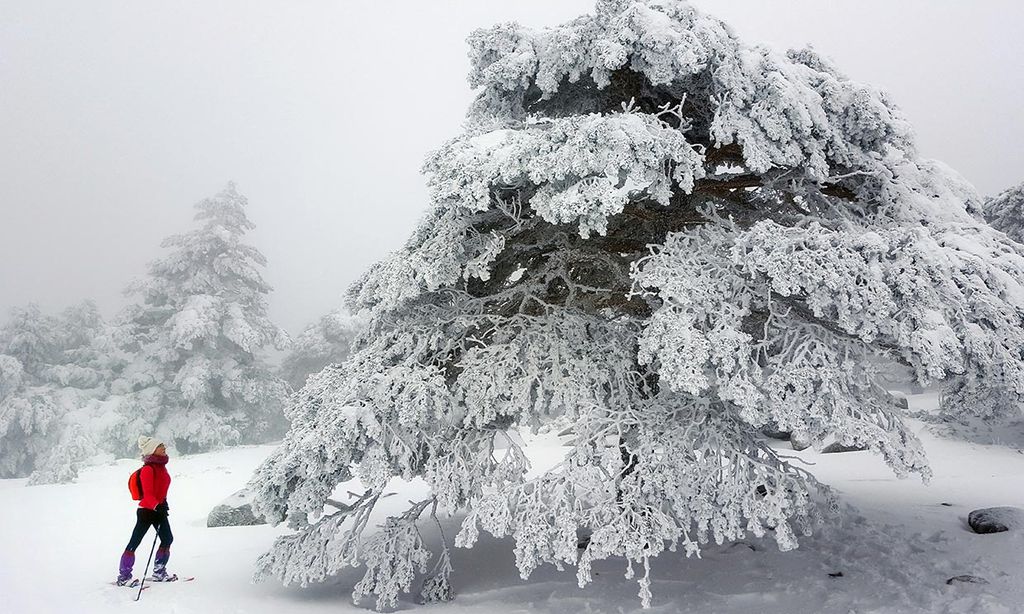 Excursión por la sierra de Guadarrama con raquetas de nieve