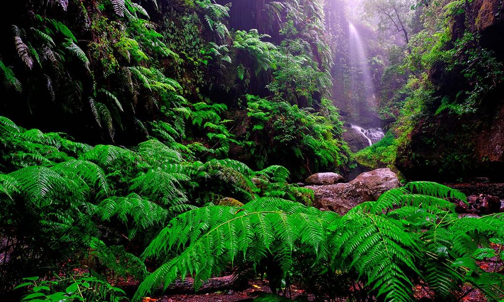 Los rincones de La Palma que cautivaron a George Clooney