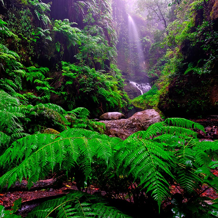 Los rincones de La Palma que cautivaron a George Clooney 