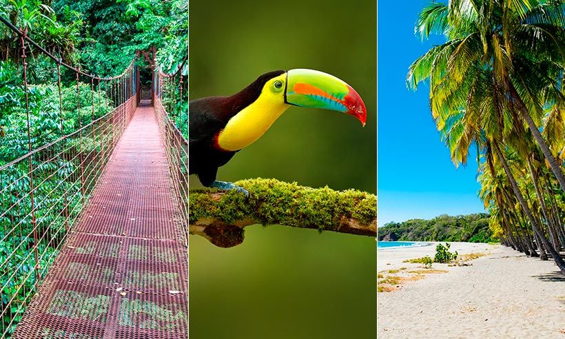 Sin PCR, paraíso sostenible y otros motivos para salir volando a Costa Rica