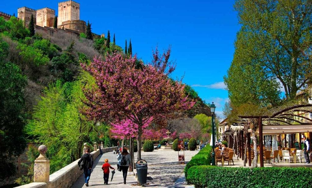 Cómo comerse Granada en 8 paradas gastro