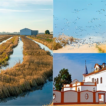 Sevilla