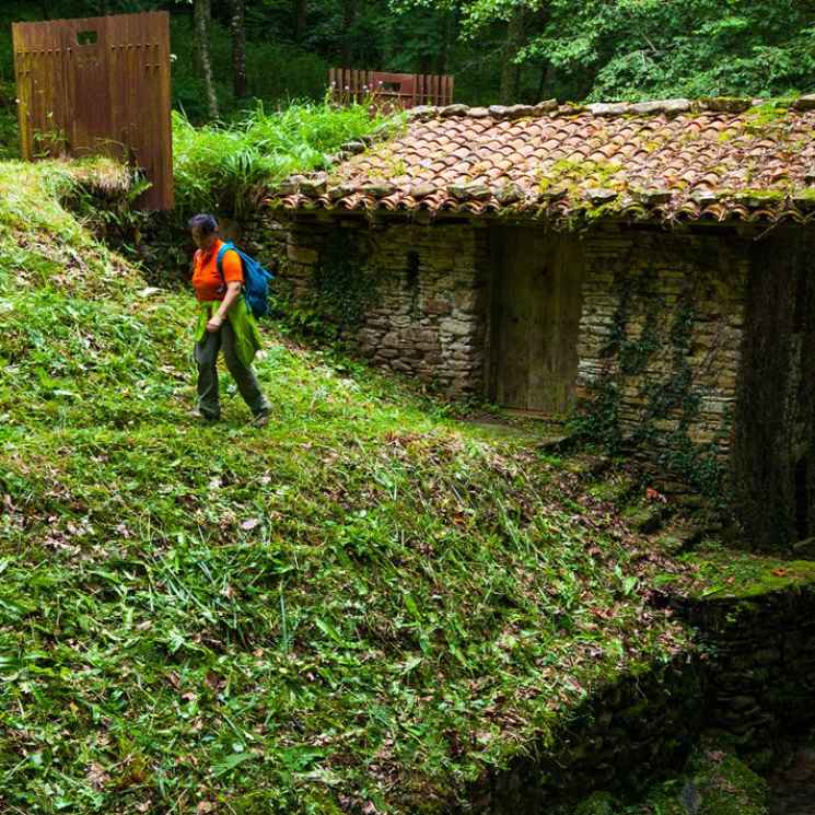 Pagoeta, la excursión senderista perfecta y cerca del mar