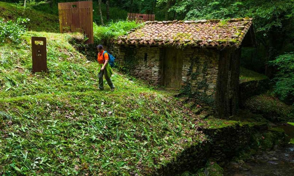 Pagoeta, la excursión senderista perfecta y cerca del mar