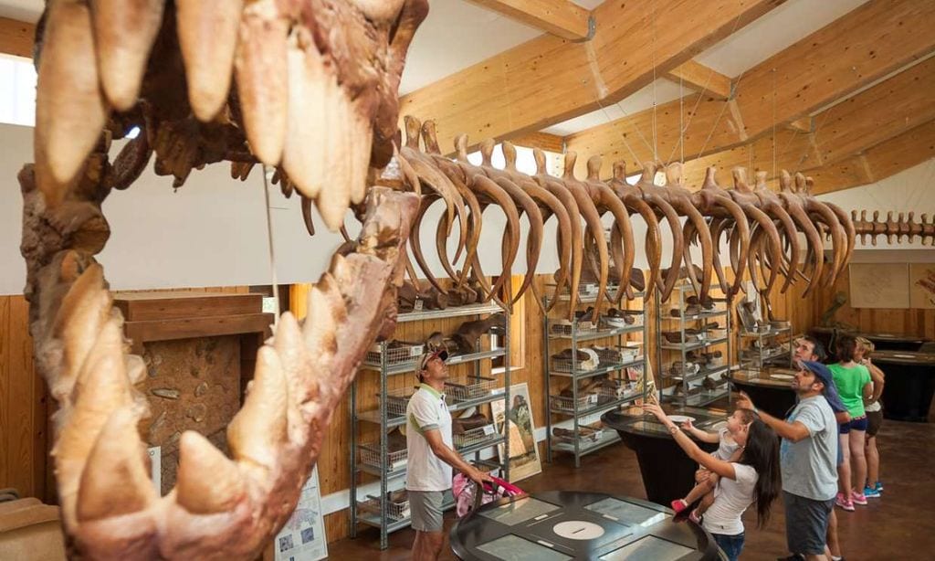 La ruta de los dinosaurios por La Rioja empieza en Enciso