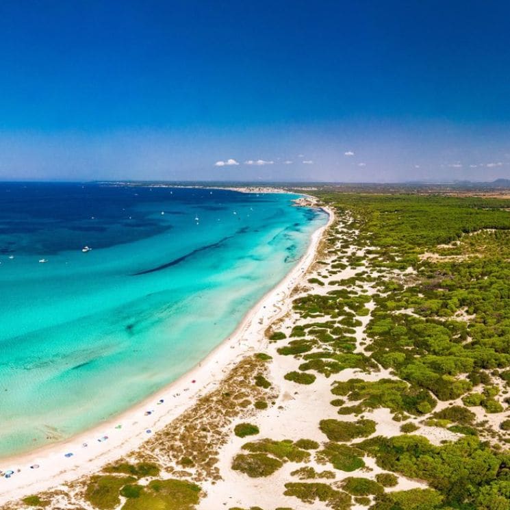 La última playa virgen (y la más salada) de Mallorca se llama Es Trenc