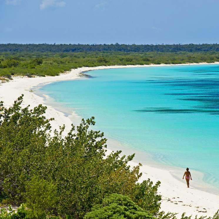 Ecoturismo en el rincón más virgen de República Dominicana