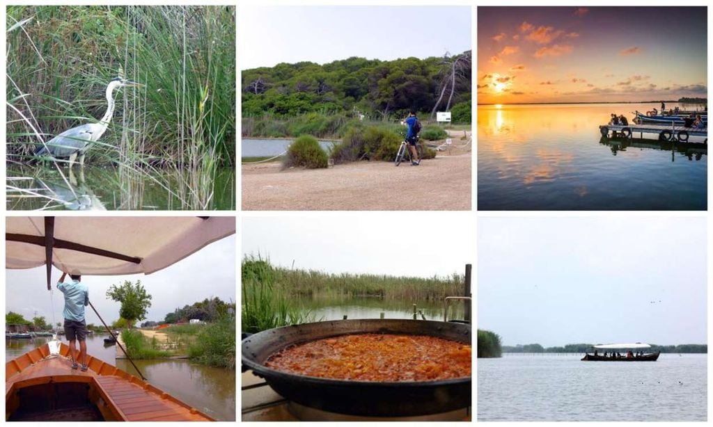 Experiencias en el Parque Natural de la Albufera de Valencia.