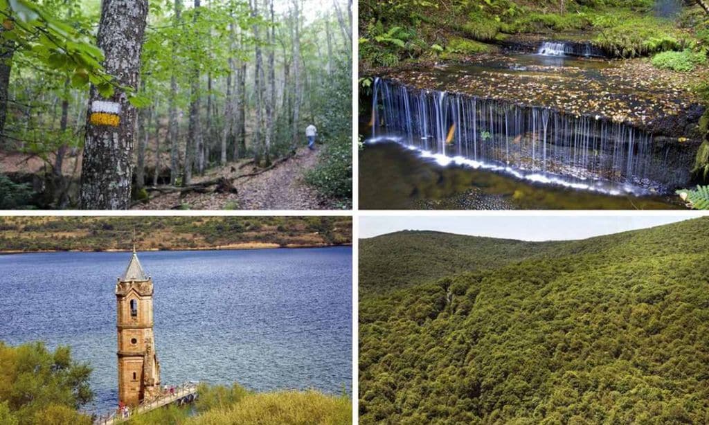El monte Hijedo, un precioso robledal para senderistas entre Cantabria y Burgos