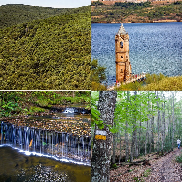 El monte Hijedo, un precioso robledal para senderistas entre Cantabria y Burgos