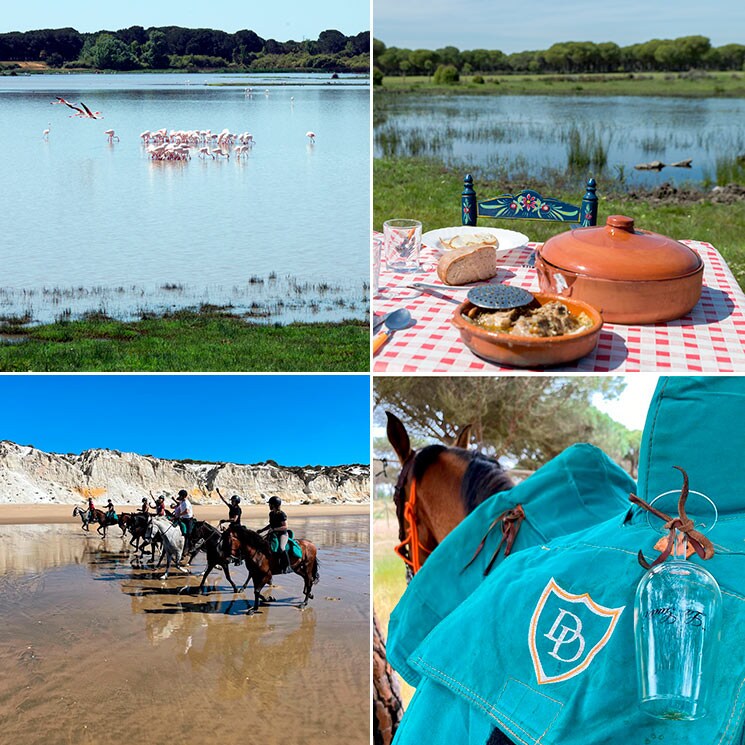 Rutas personalizadas para descubrir Doñana en invierno