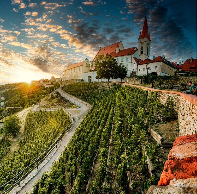 Ruta entre pueblos medievales, viñedos y palacios de Moravia