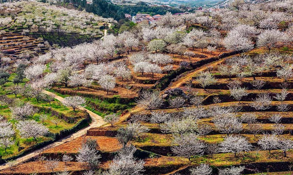 Marzo, un mes ideal para escapadas de fin de semana por España